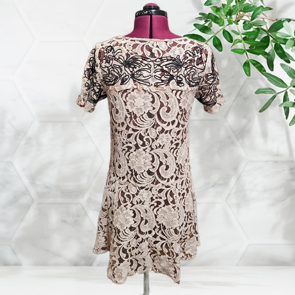 Free People Pink Beautiful Dreamer Blush Lace Tunic Dress - Picture 7 of 13
